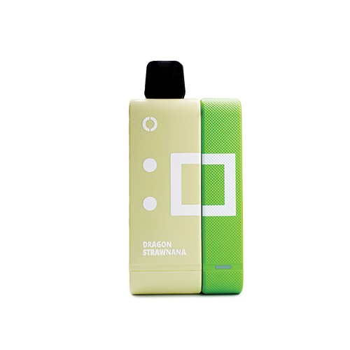 Elf Bar EW9000 Kit