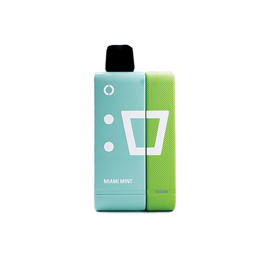 Elf Bar EW9000 Kit