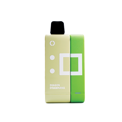 Elf Bar EW9000 Kit