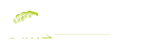 Stoomtrein Vapers